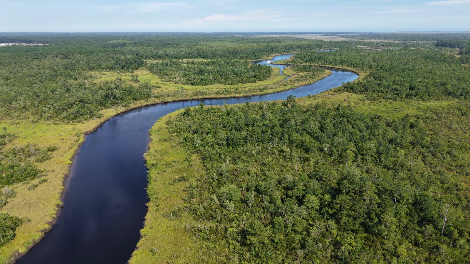 Land for Sale in Jasper County, SC (50 of 74)