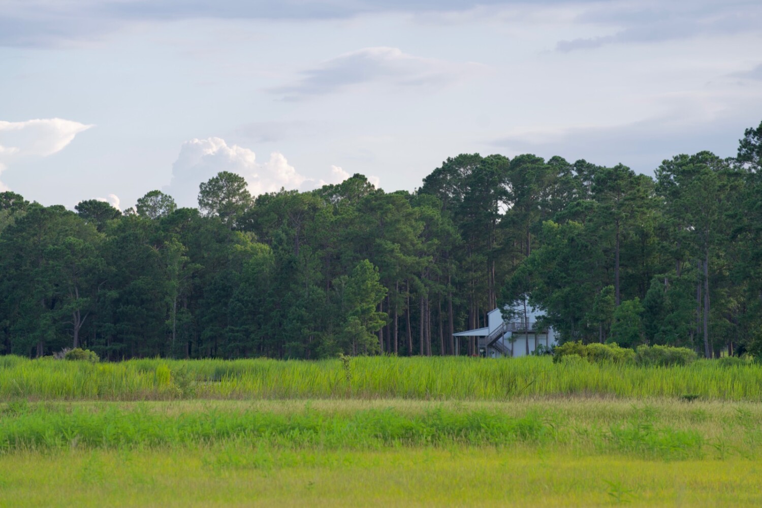 Land for Sale in Jasper County, SC (51 of 74)