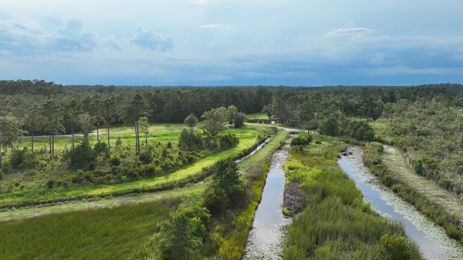 Land for Sale in Jasper County, SC (54 of 74)