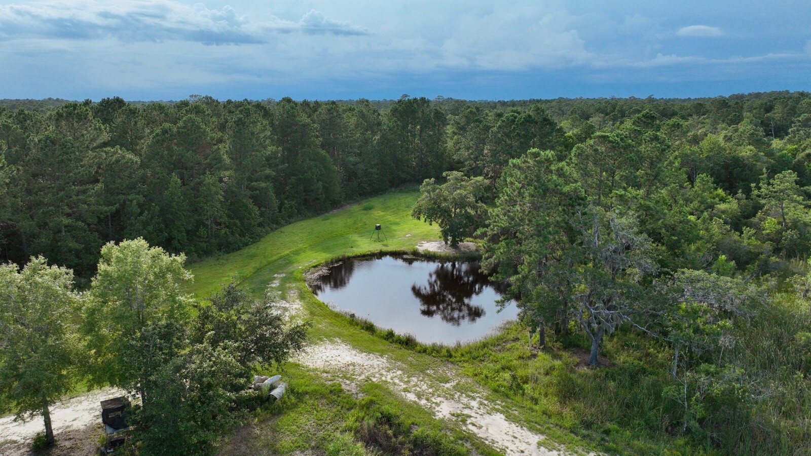 Land for Sale in Jasper County, SC (57 of 74)