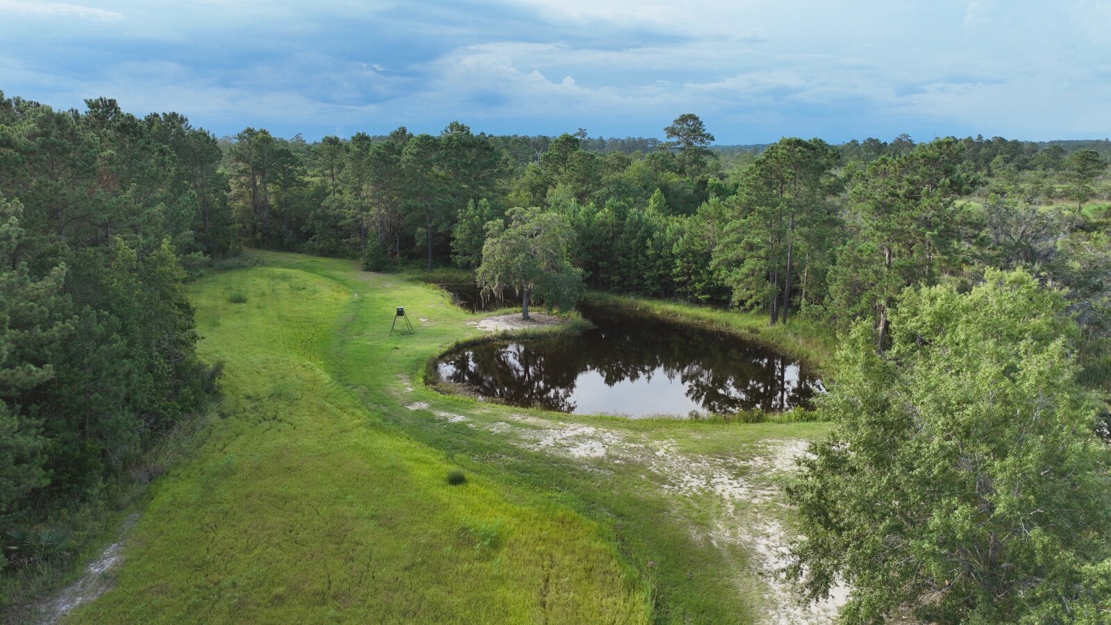 Land for Sale in Jasper County, SC (59 of 74)