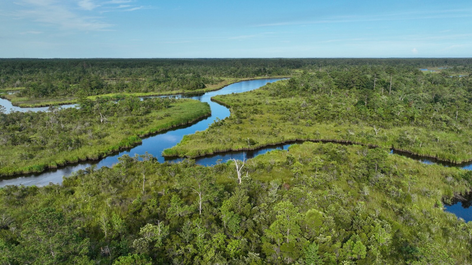 Land for Sale in Jasper County, SC (63 of 74)