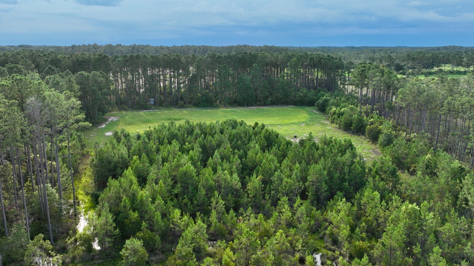 Land for Sale in Jasper County, SC (68 of 74)