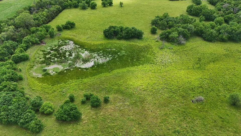 Land for Sale in Allen County, KS (5 of 11)