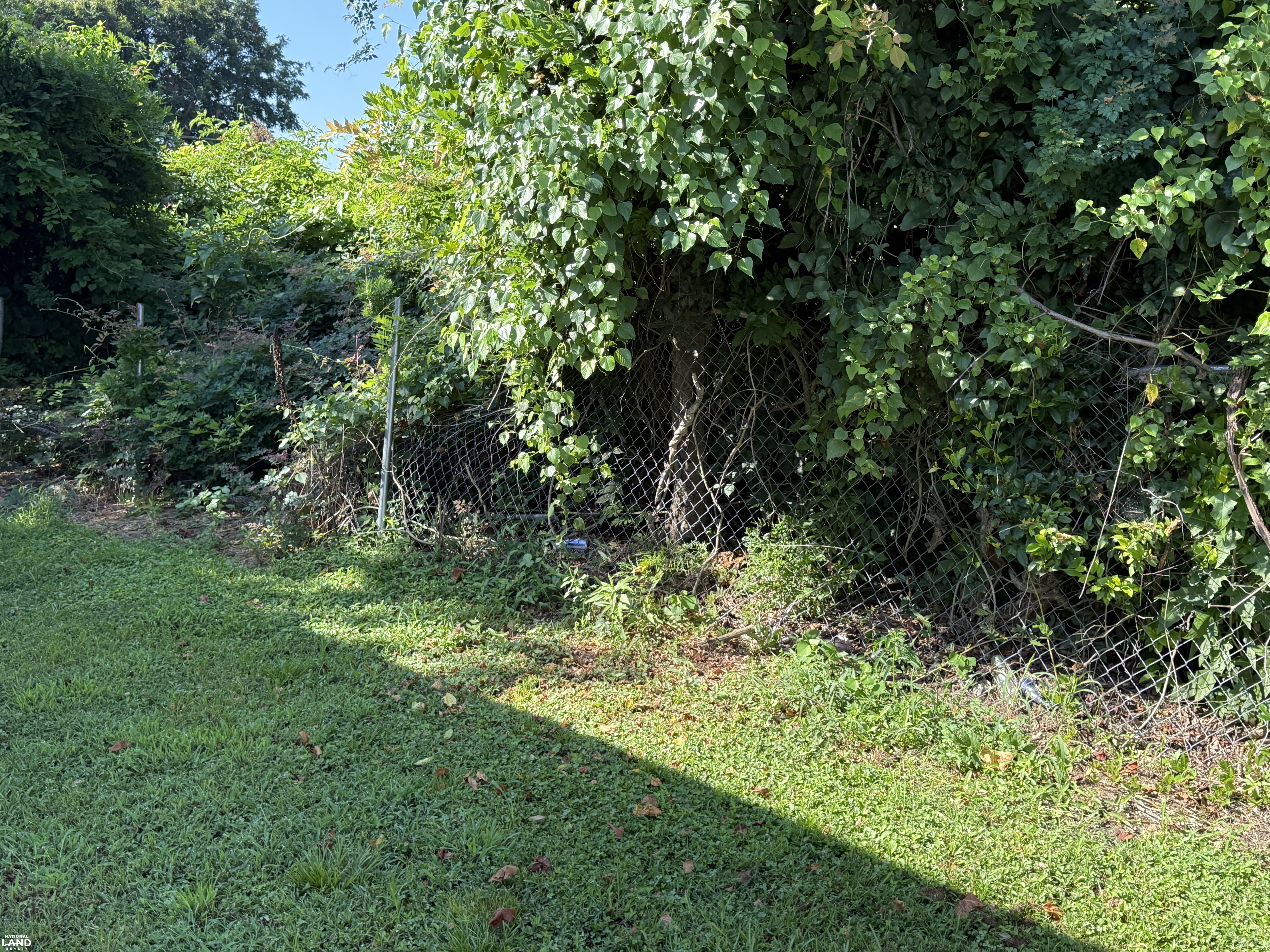 rear boundary fence (9 of 42)