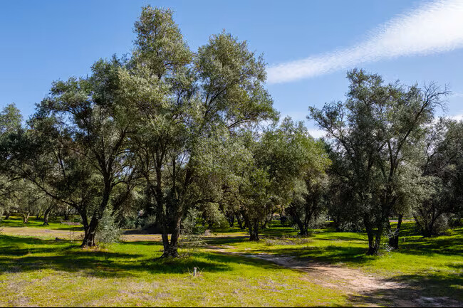 6115-6117-6121 20th Avenue, Brooklyn, NY, 11204