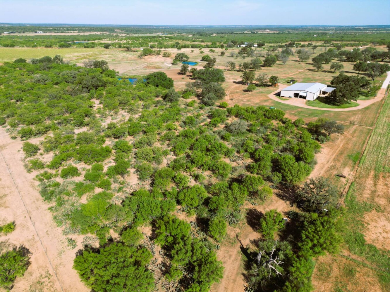 Land for Sale in Mills County, TX (4 of 75)