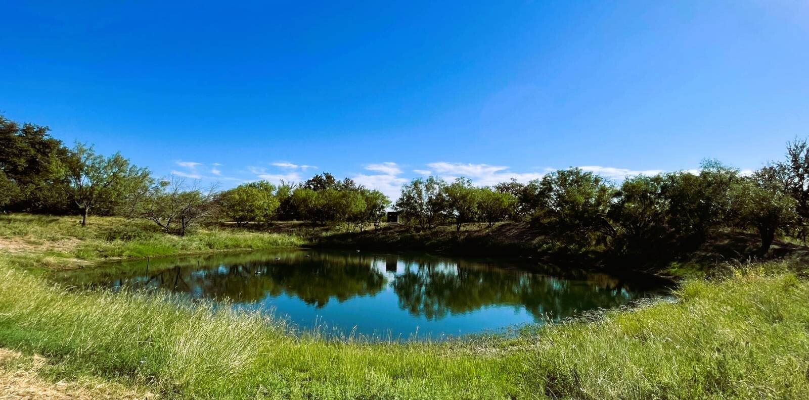 Land for Sale in Mills County, TX (22 of 75)
