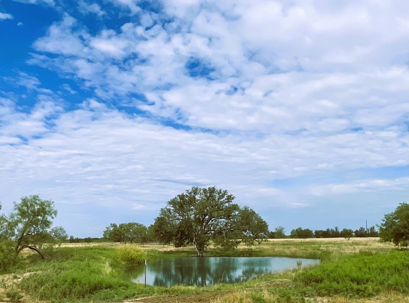 Land for Sale in Mills County, TX (23 of 75)
