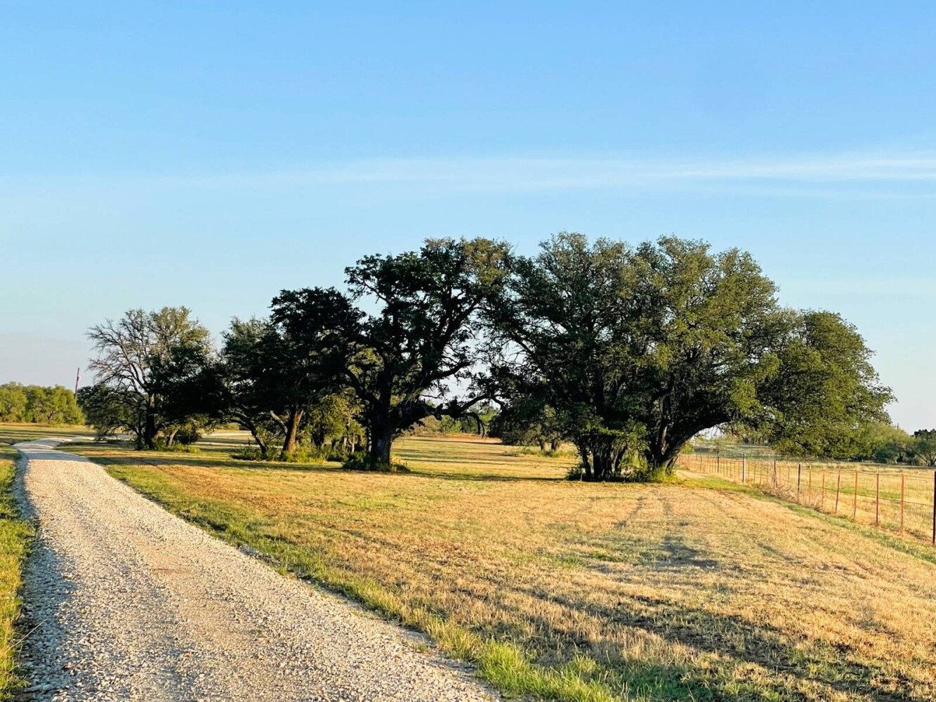 Land for Sale in Mills County, TX (29 of 75)