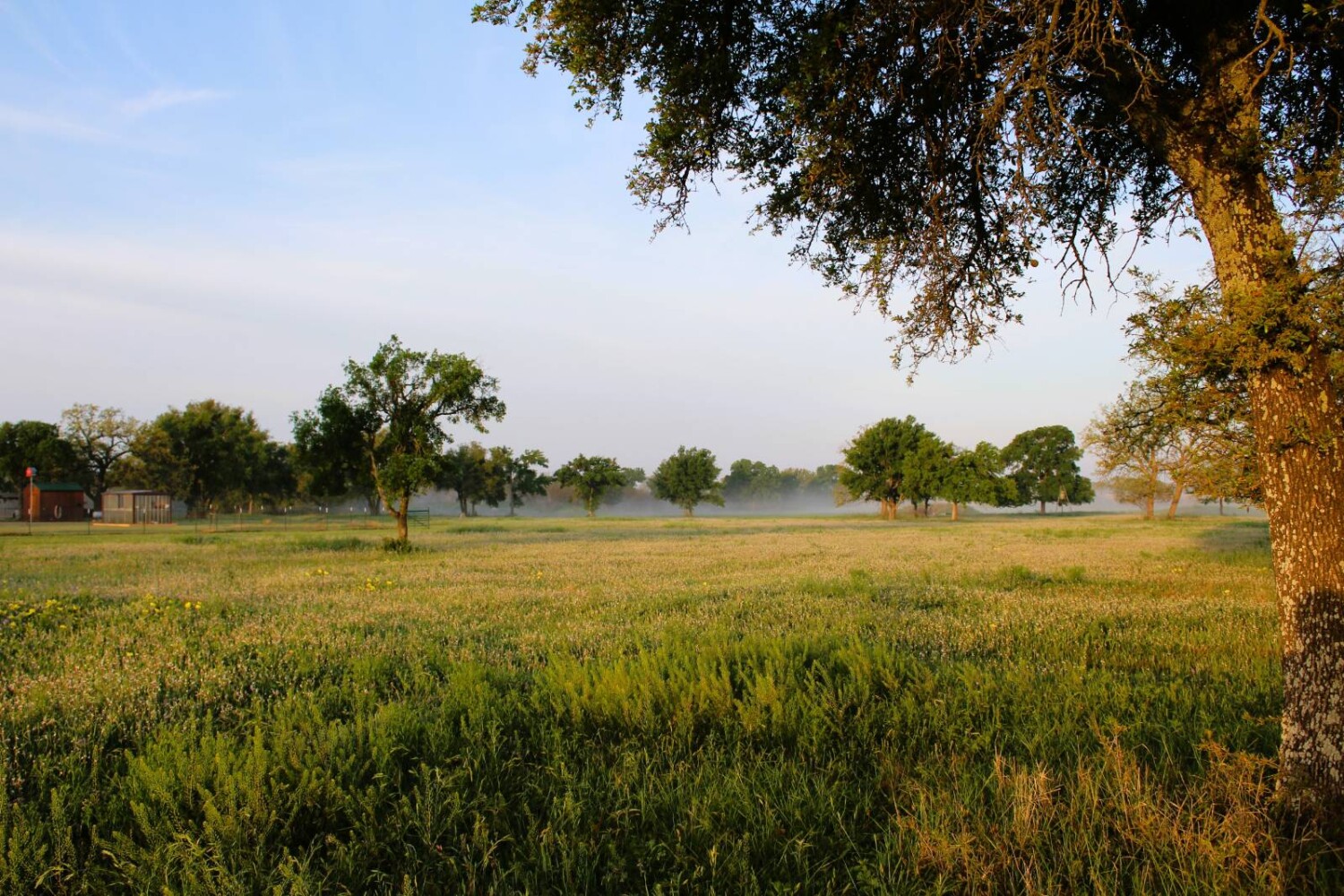 Land for Sale in Mills County, TX (57 of 75)