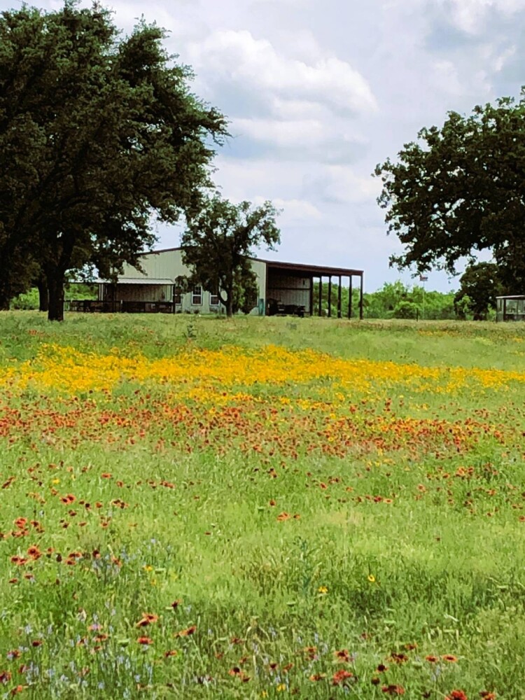 Land for Sale in Mills County, TX (59 of 75)