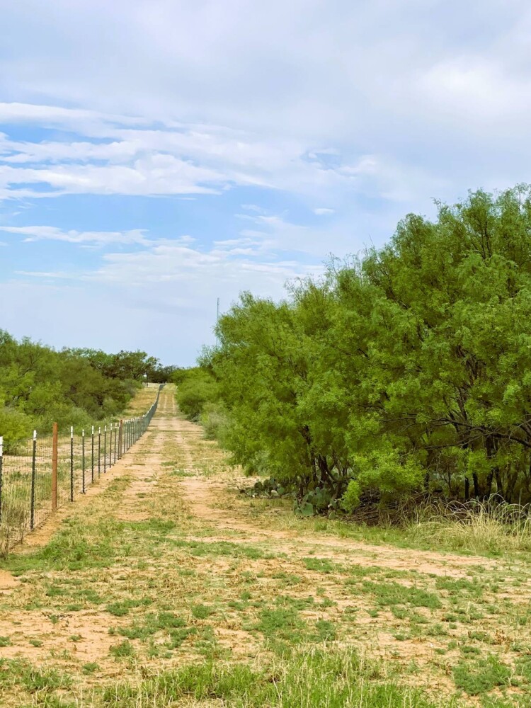 Land for Sale in Mills County, TX (62 of 75)