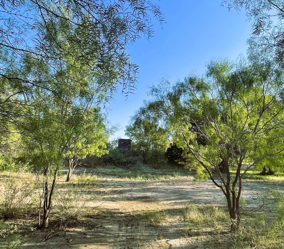 Land for Sale in Mills County, TX (63 of 75)