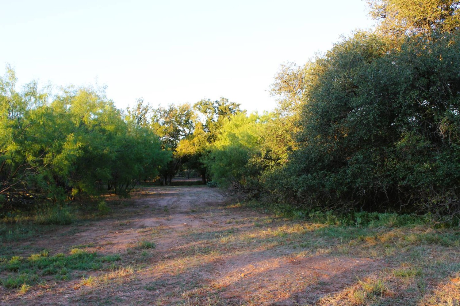Land for Sale in Mills County, TX (64 of 75)