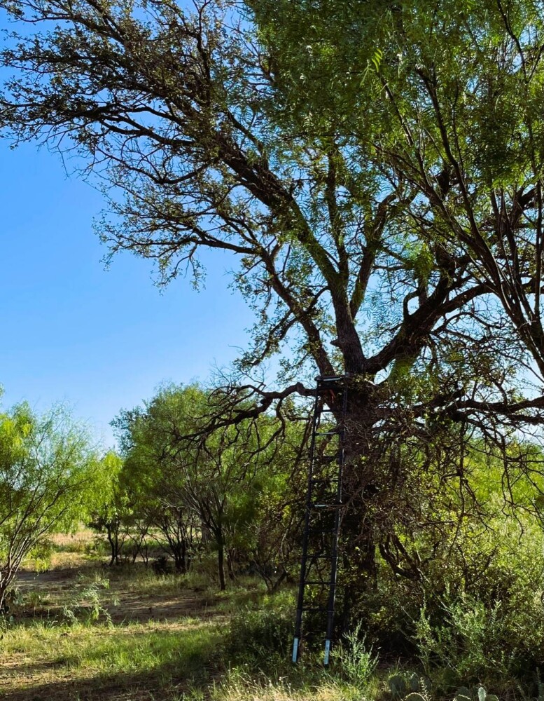 Land for Sale in Mills County, TX (65 of 75)
