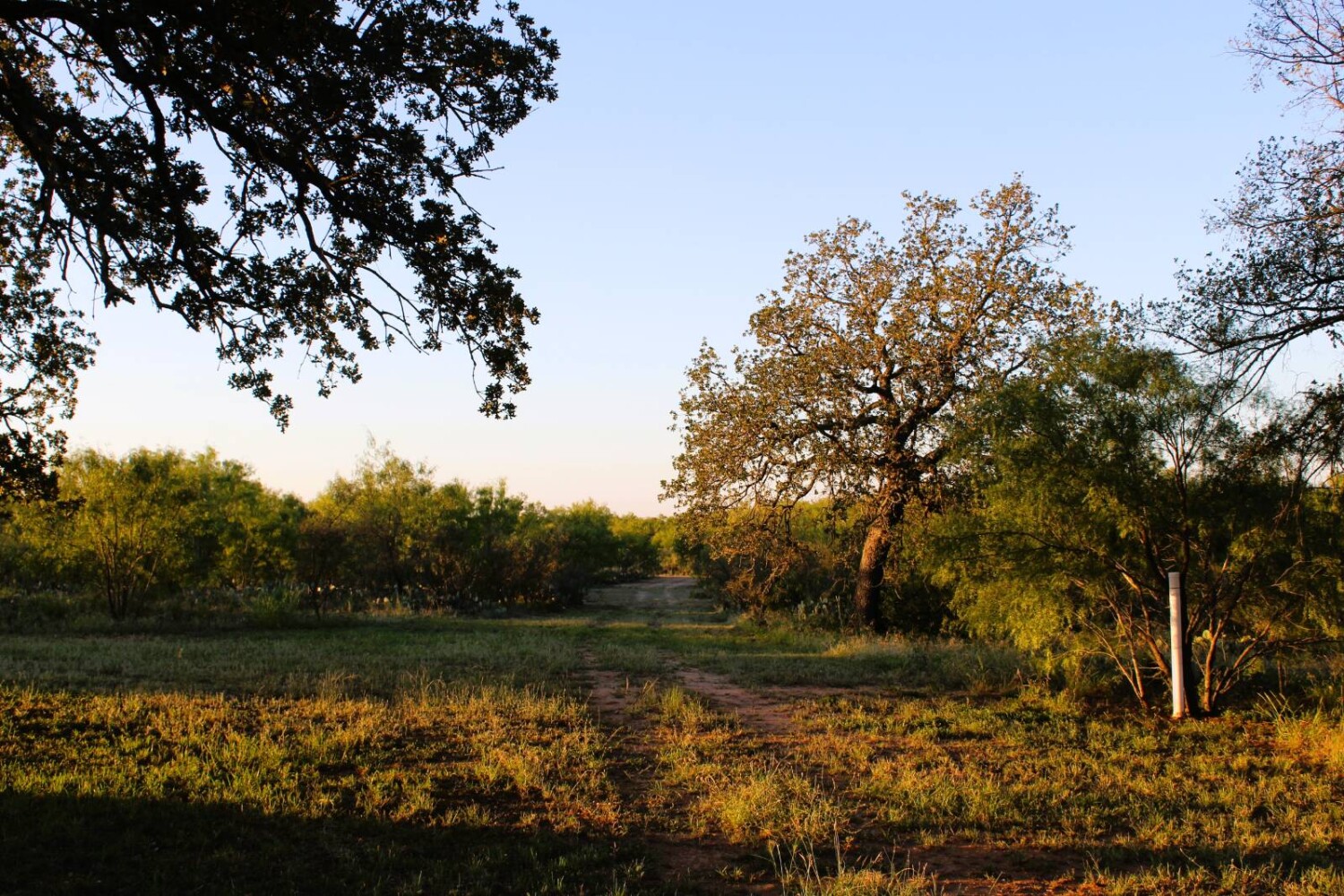 Land for Sale in Mills County, TX (66 of 75)