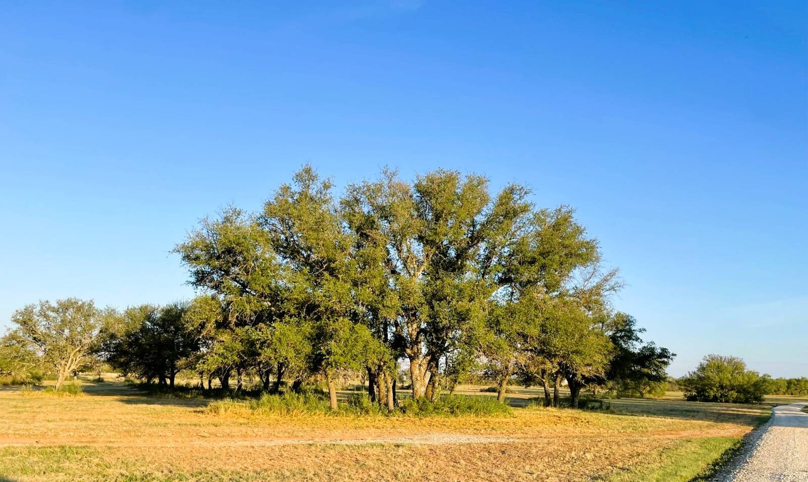 Land for Sale in Mills County, TX (67 of 75)