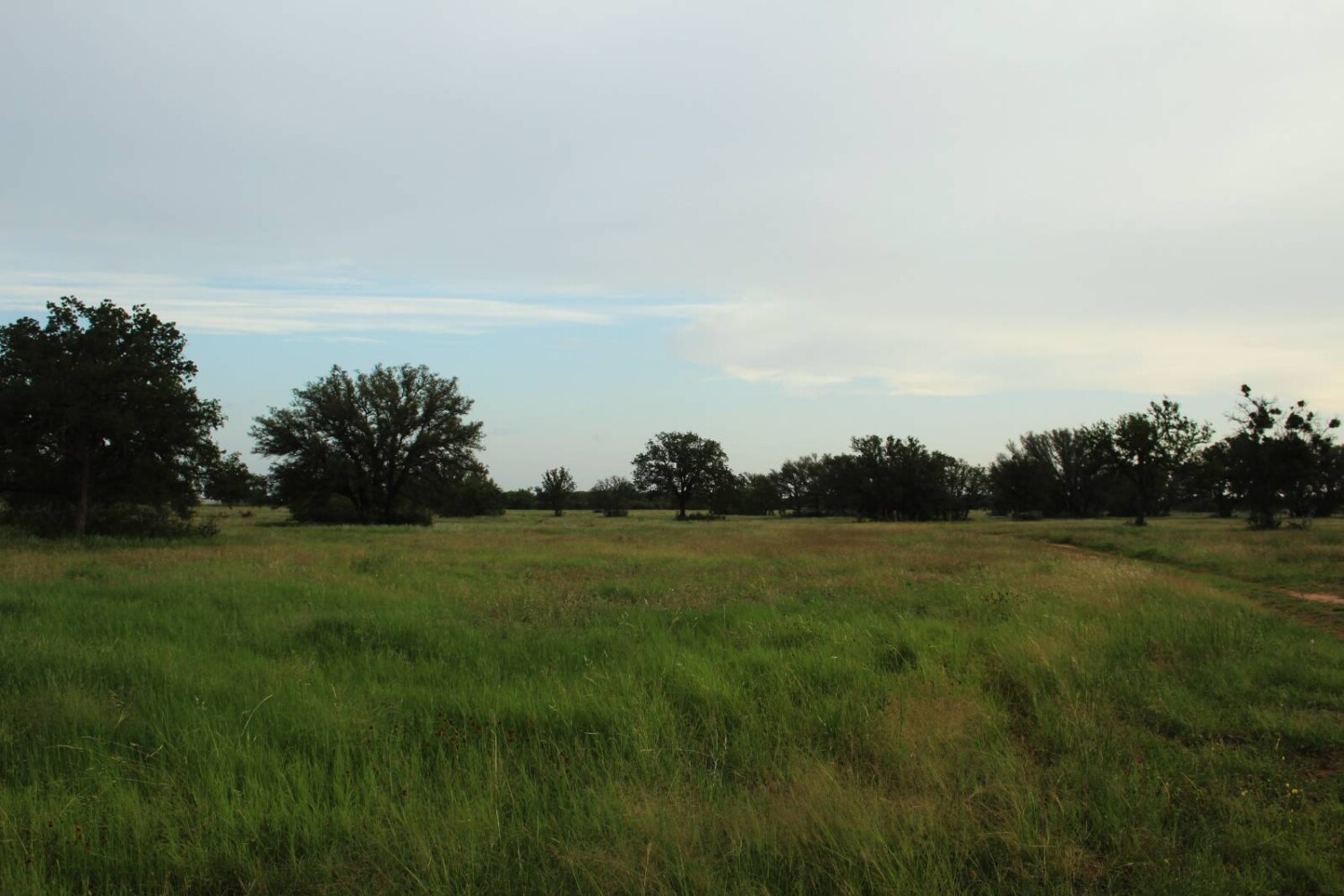 Land for Sale in Mills County, TX (70 of 75)