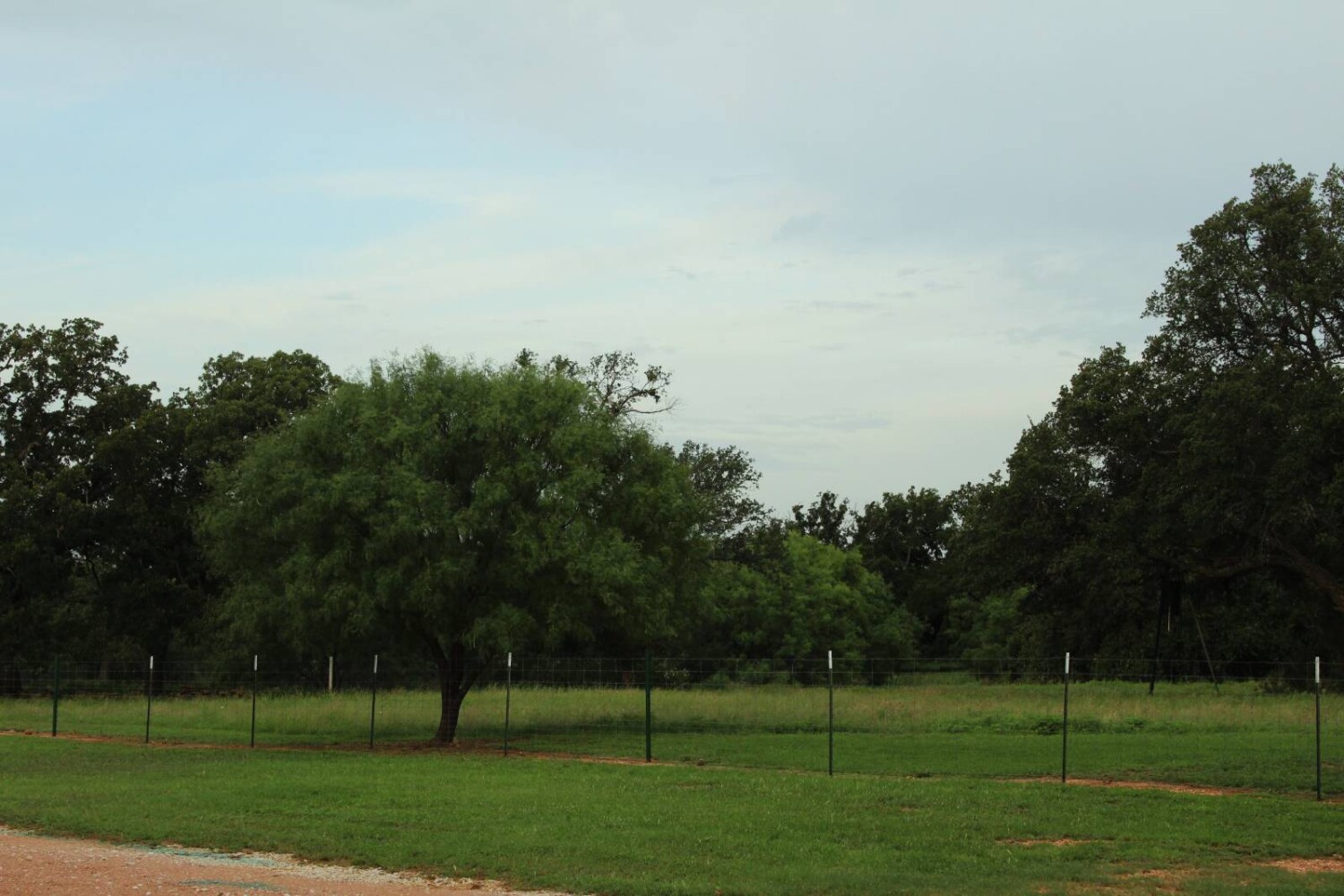 Land for Sale in Mills County, TX (72 of 75)