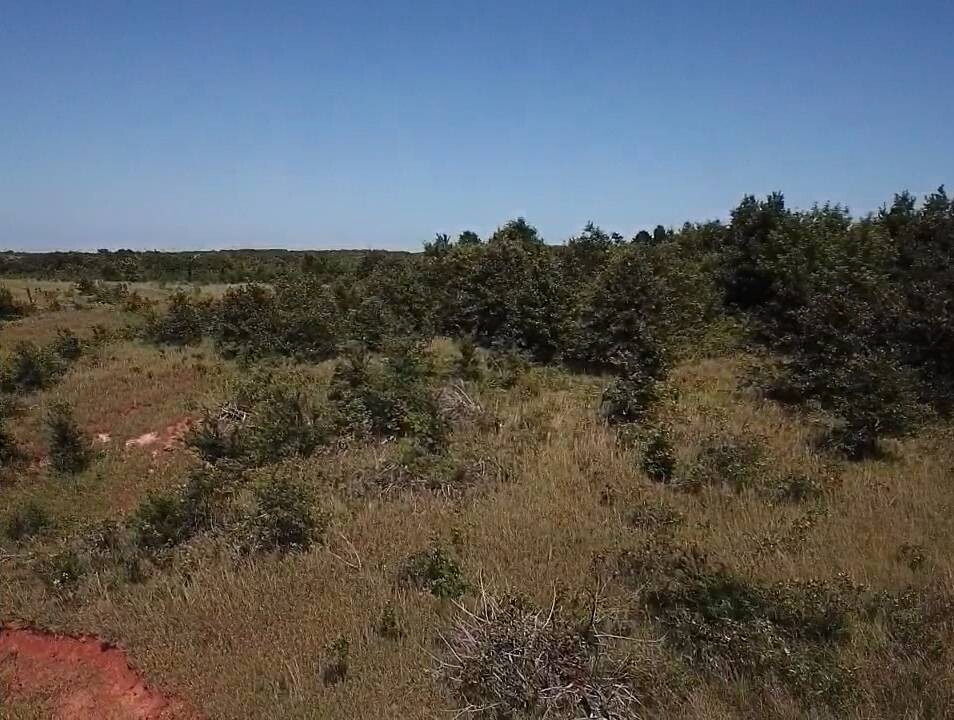 Land for Sale in Pottawatomie County, OK (7 of 16)