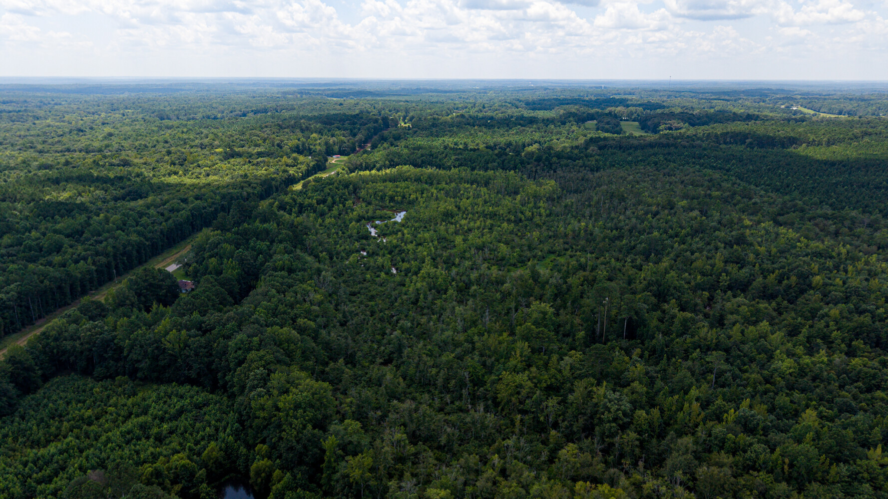 Rutledge Branch Duck Hole in Tishomingo County, MS (11 of 29)