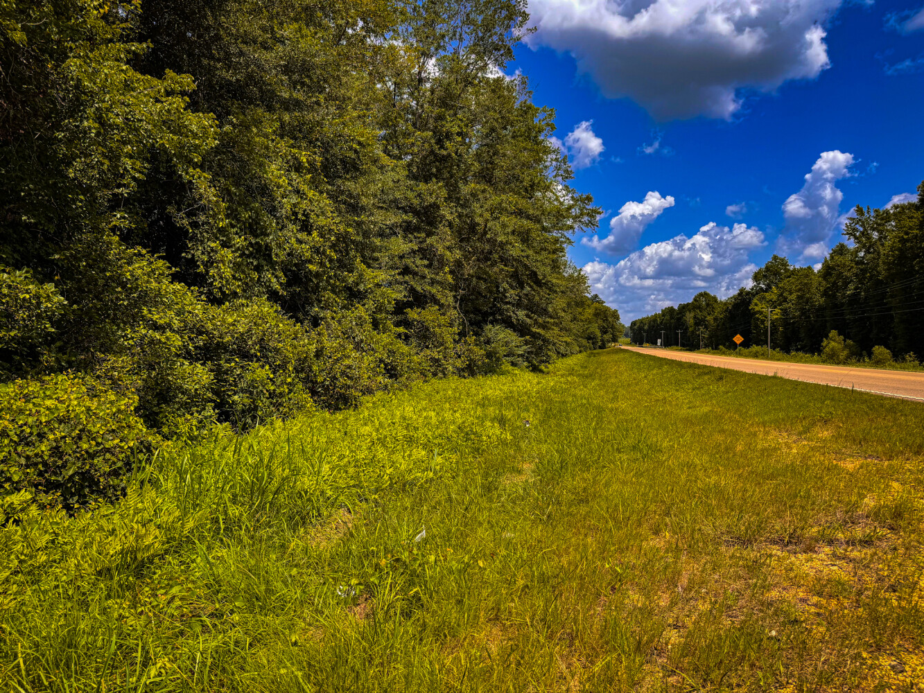 Rutledge Branch Duck Hole in Tishomingo County, MS (12 of 29)