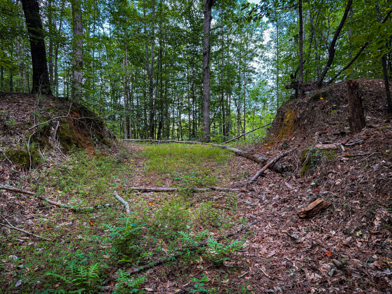 Rutledge Branch Duck Hole in Tishomingo County, MS (17 of 29)