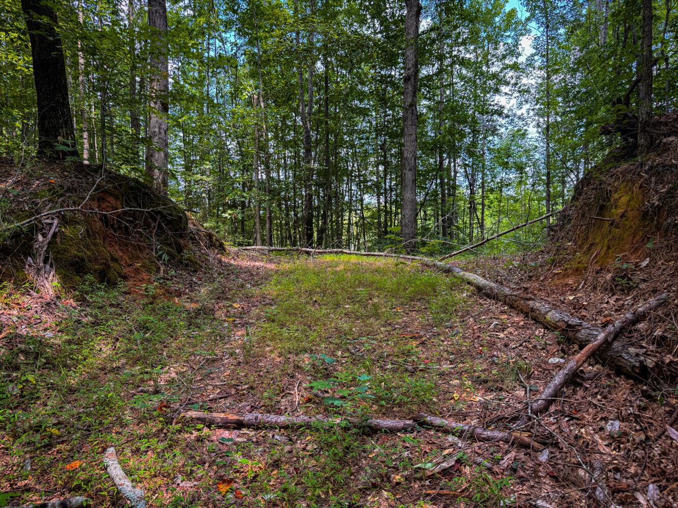 Rutledge Branch Duck Hole in Tishomingo County, MS (18 of 29)