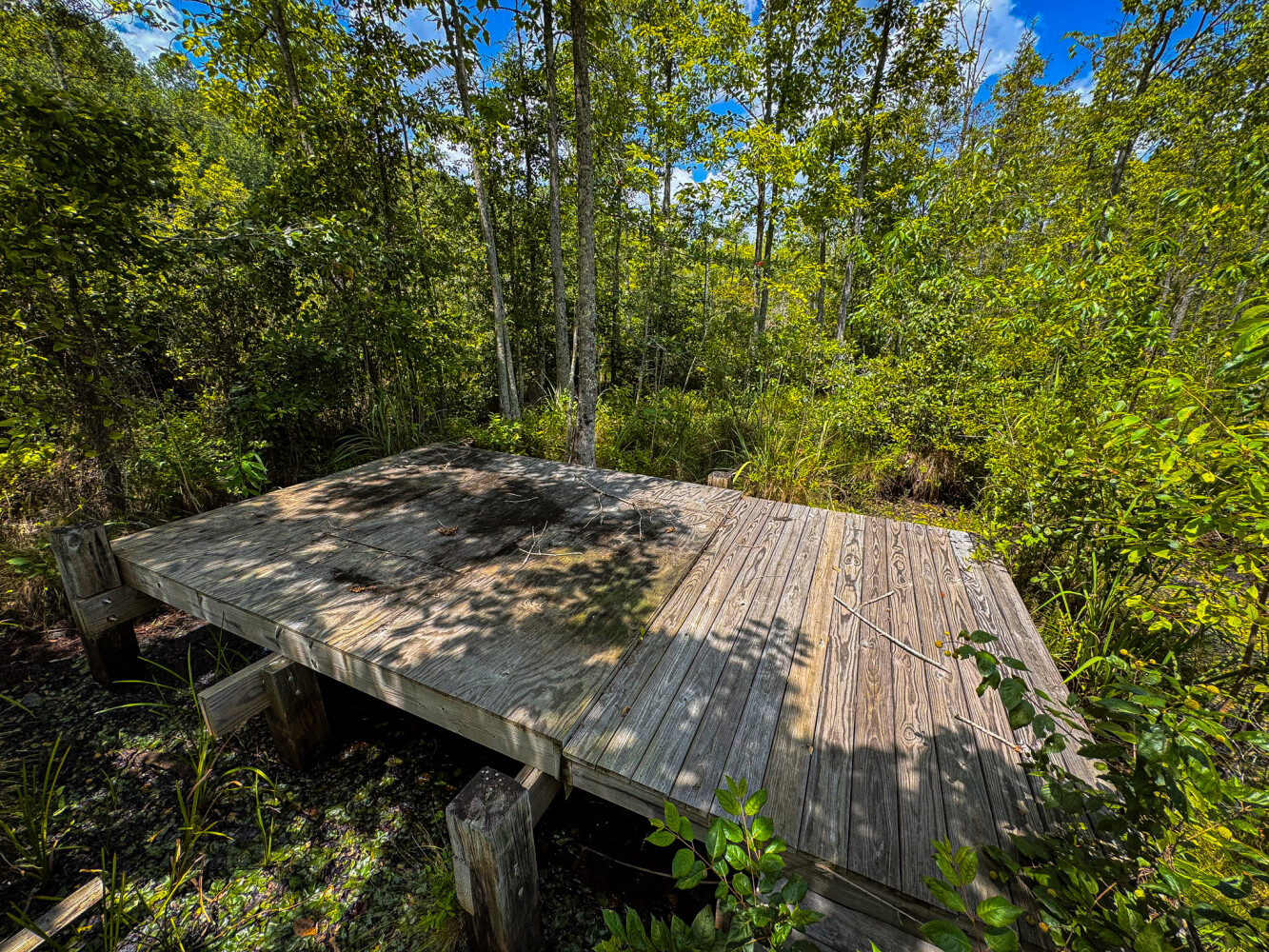 Rutledge Branch Duck Hole in Tishomingo County, MS (22 of 29)