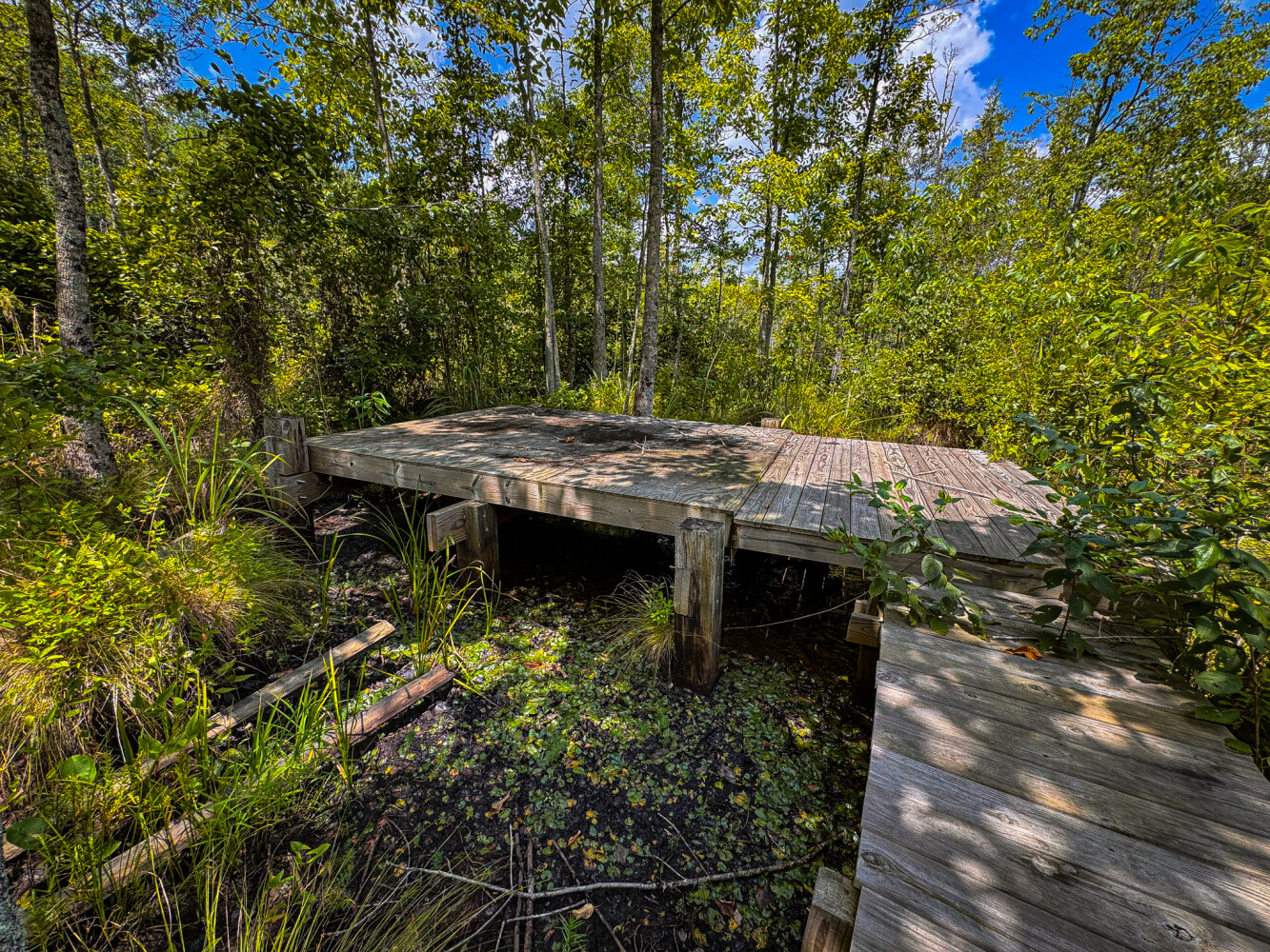 Rutledge Branch Duck Hole in Tishomingo County, MS (24 of 29)