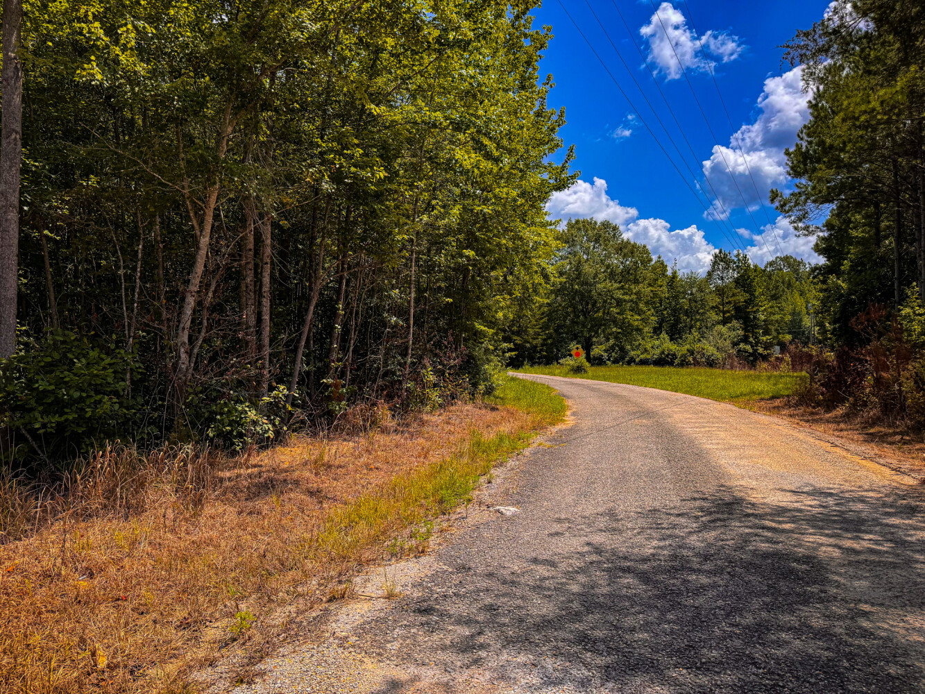 Rutledge Branch Duck Hole in Tishomingo County, MS (27 of 29)