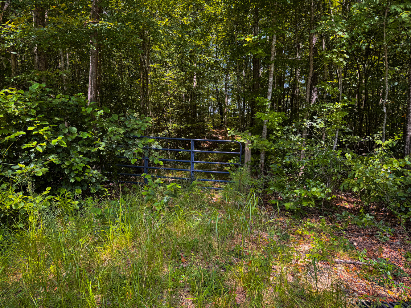 Rutledge Branch Duck Hole in Tishomingo County, MS (28 of 29)