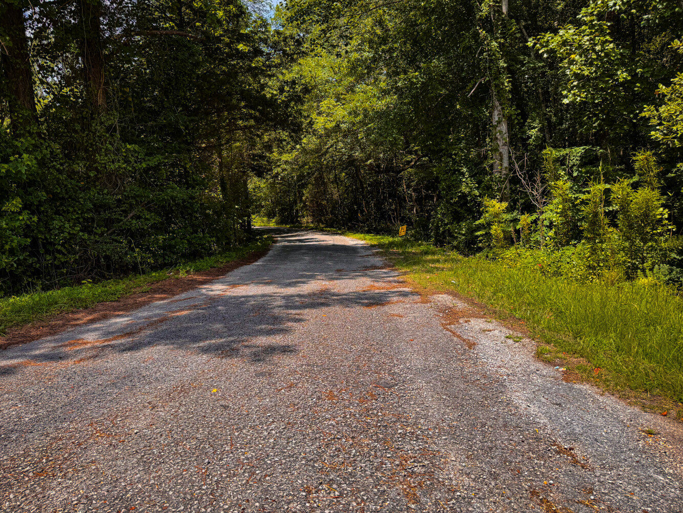 Rutledge Branch Duck Hole in Tishomingo County, MS (29 of 29)