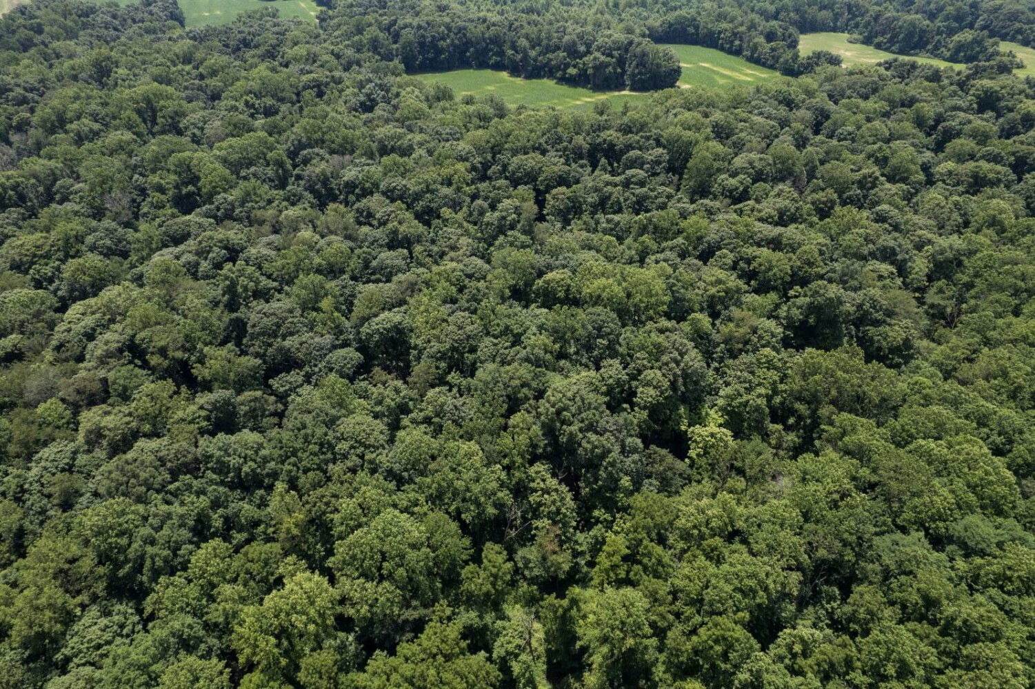 Land for Sale in Franklin County, IN (2 of 64)