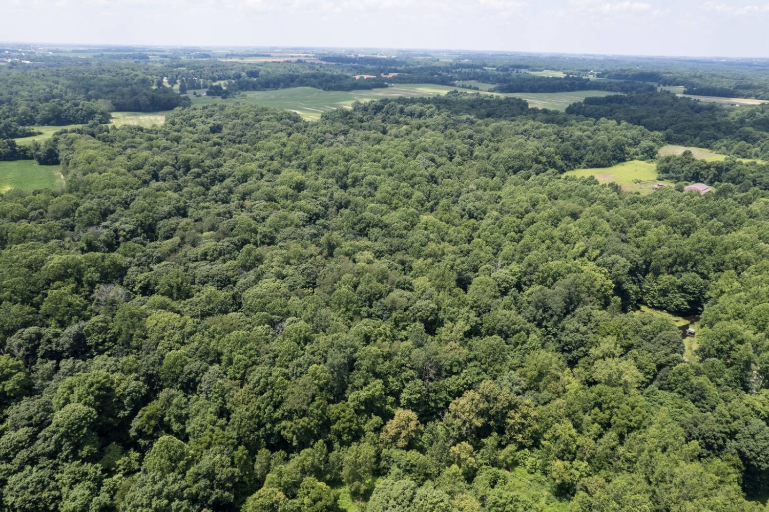Land for Sale in Franklin County, IN (4 of 64)