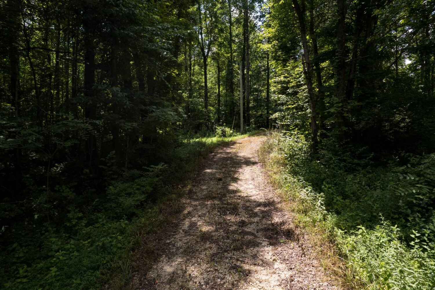 Land for Sale in Franklin County, IN (5 of 64)