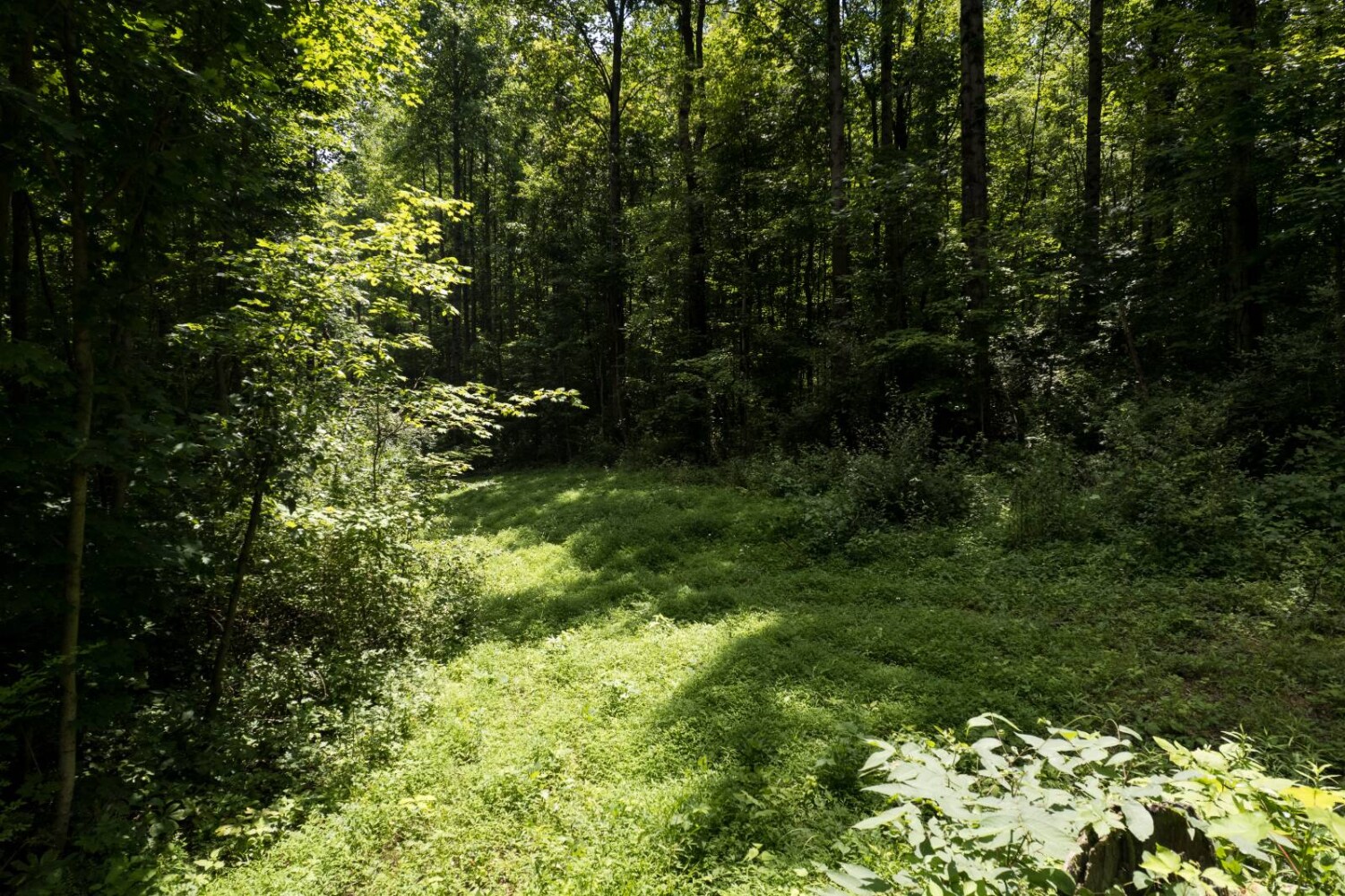 Land for Sale in Franklin County, IN (6 of 64)