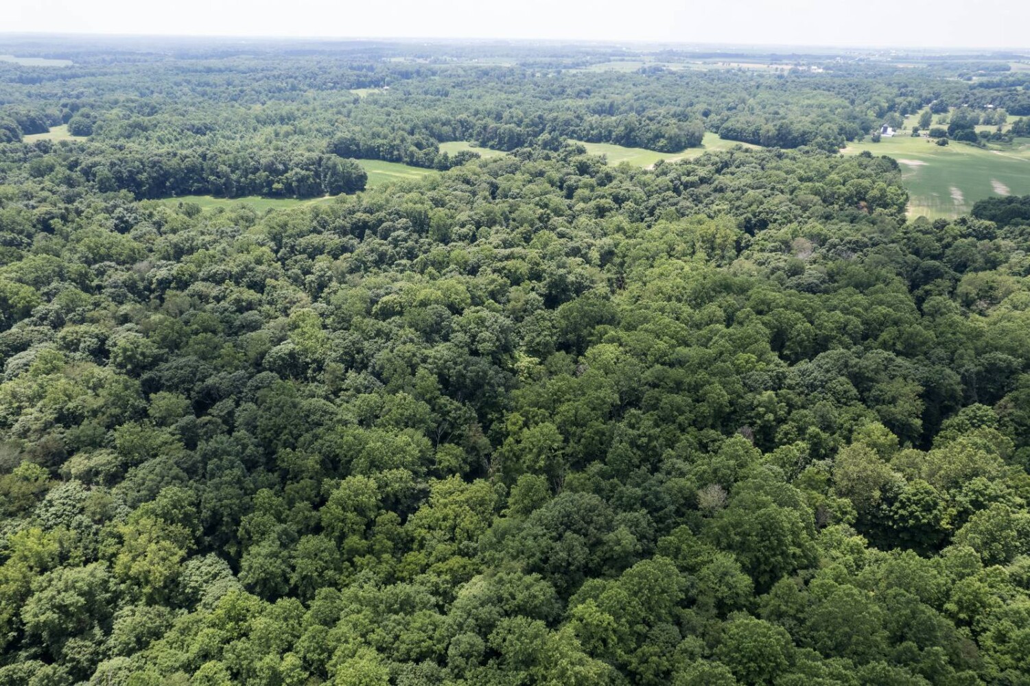 Land for Sale in Franklin County, IN (7 of 64)
