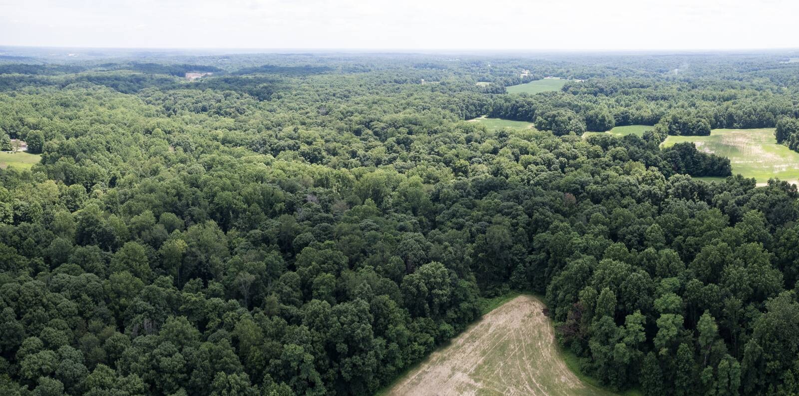 Land for Sale in Franklin County, IN (8 of 64)