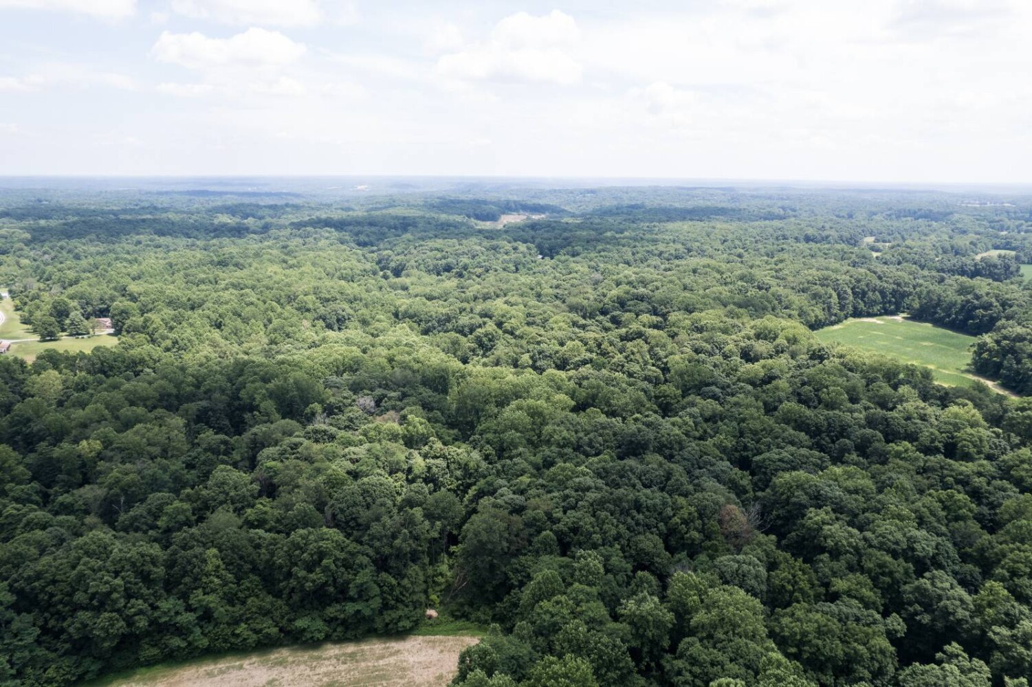Land for Sale in Franklin County, IN (9 of 64)