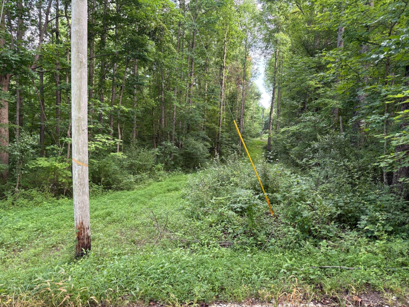 Land for Sale in Franklin County, IN (13 of 64)