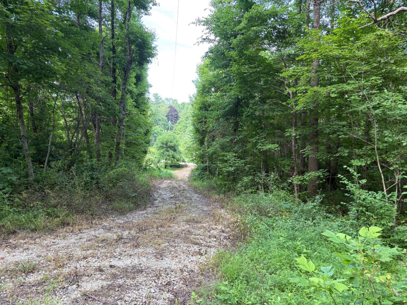 Land for Sale in Franklin County, IN (15 of 64)