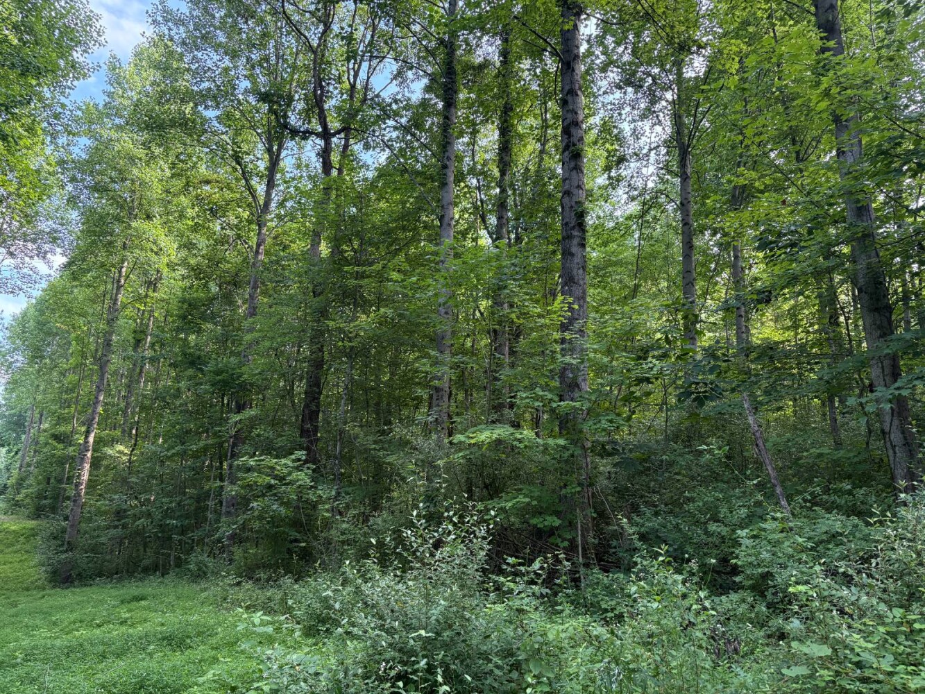 Land for Sale in Franklin County, IN (16 of 64)