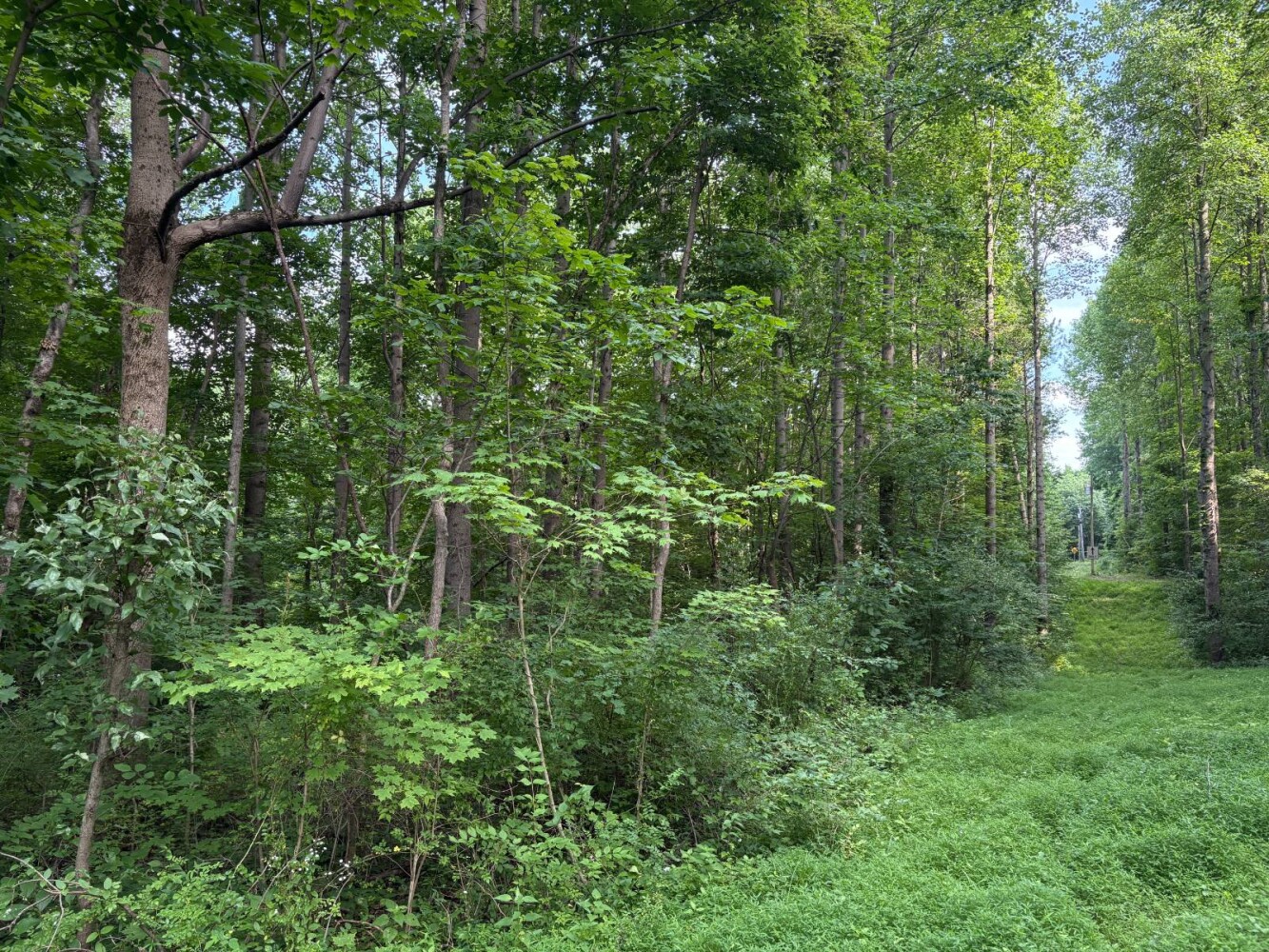 Land for Sale in Franklin County, IN (17 of 64)