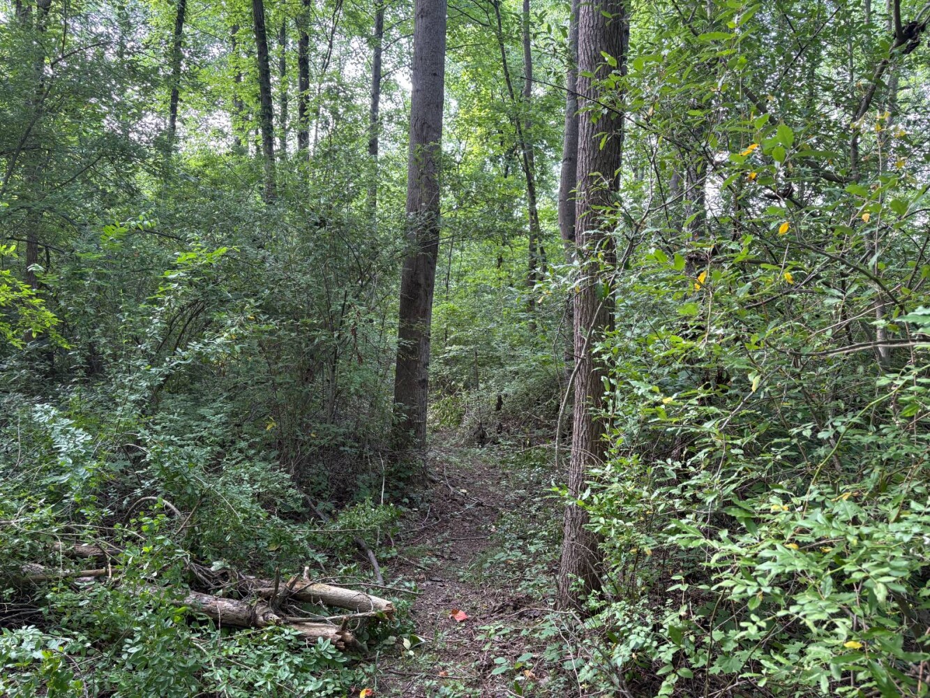 Land for Sale in Franklin County, IN (18 of 64)