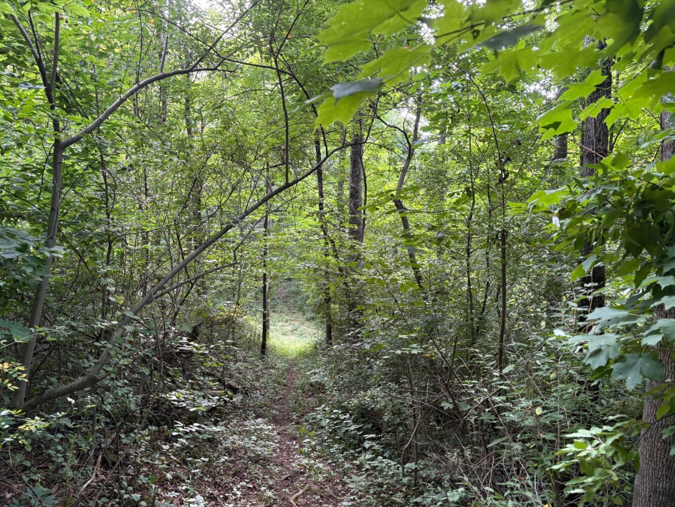 Land for Sale in Franklin County, IN (19 of 64)