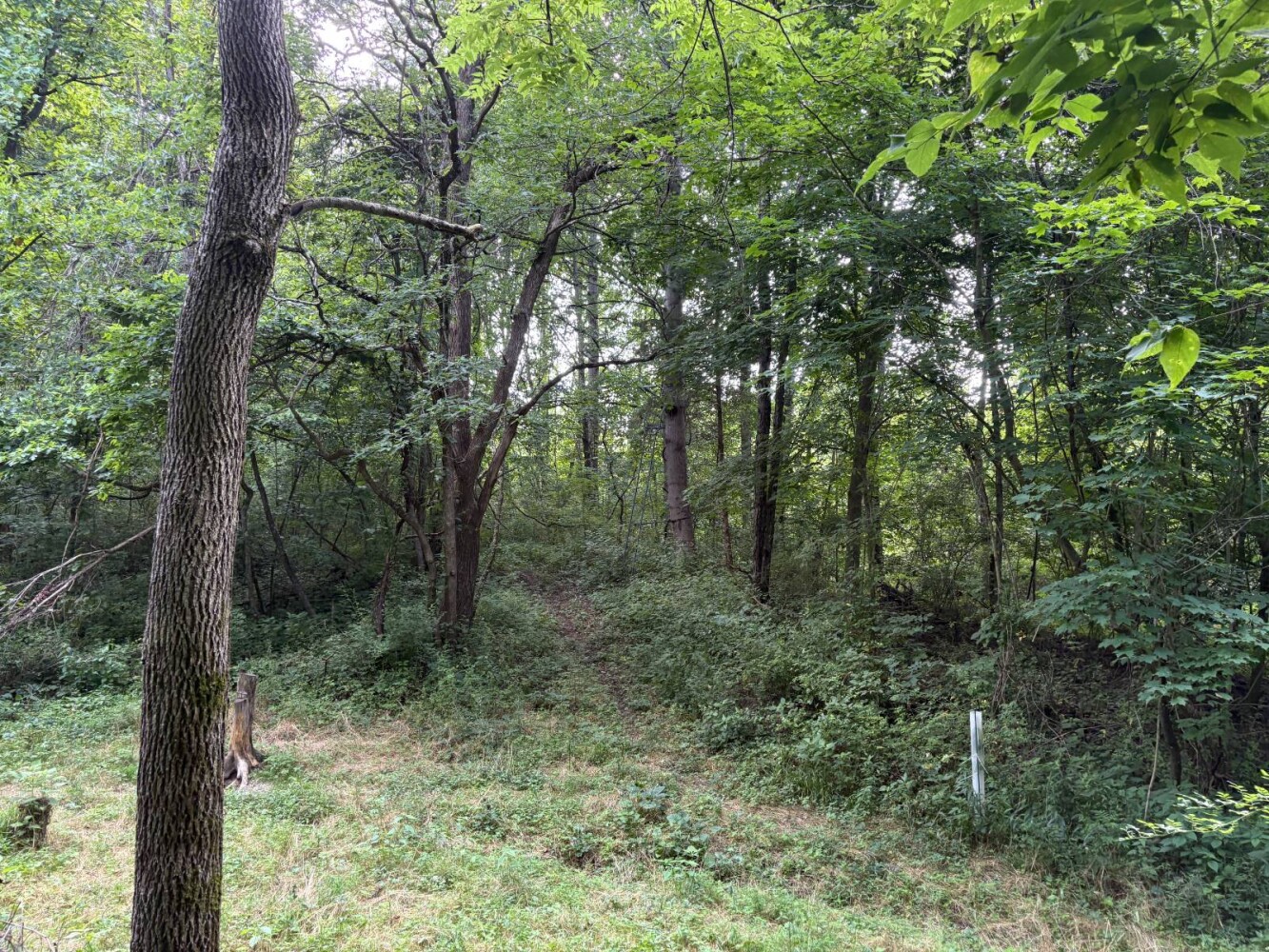 Land for Sale in Franklin County, IN (20 of 64)