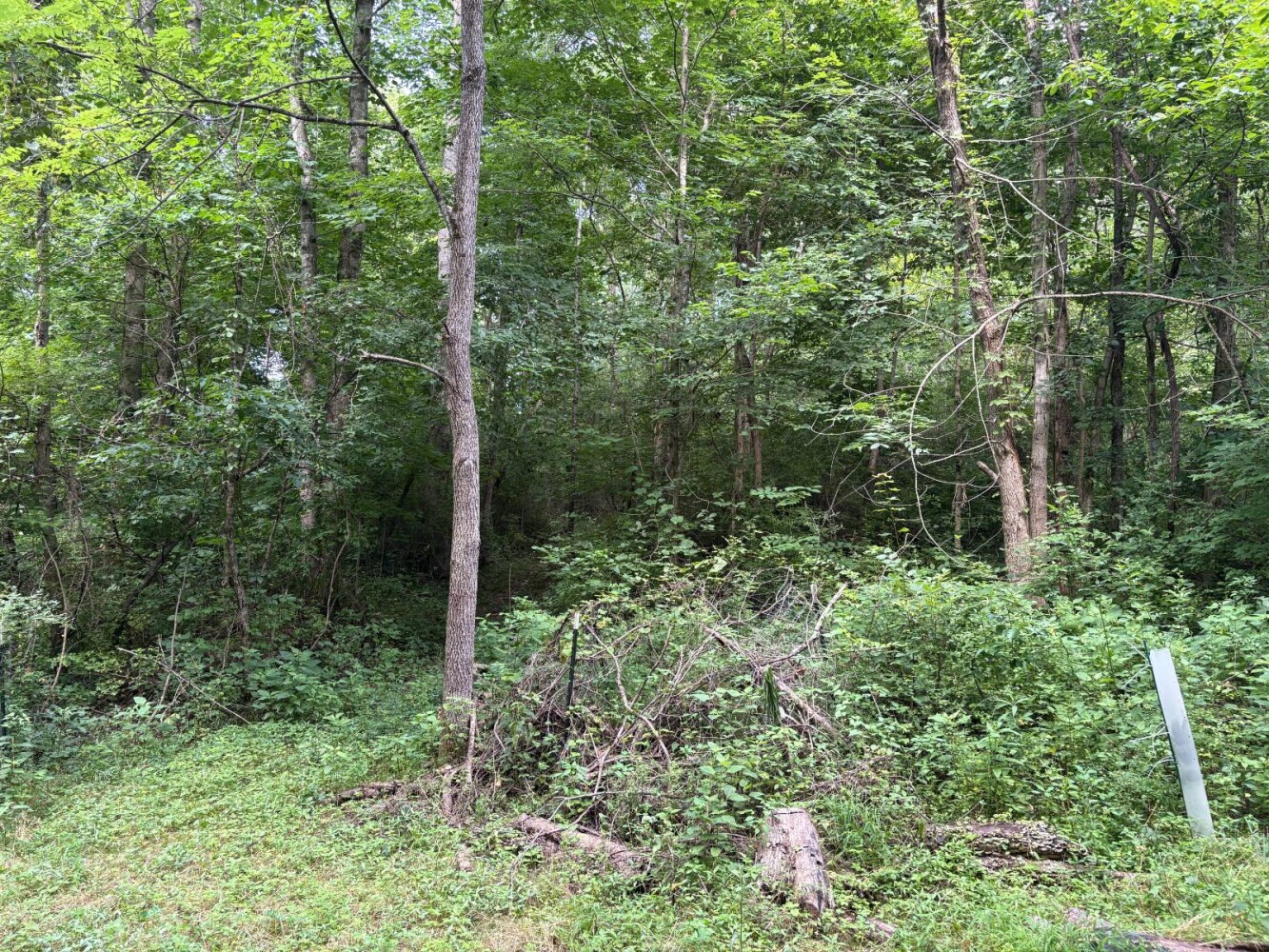 Land for Sale in Franklin County, IN (21 of 64)