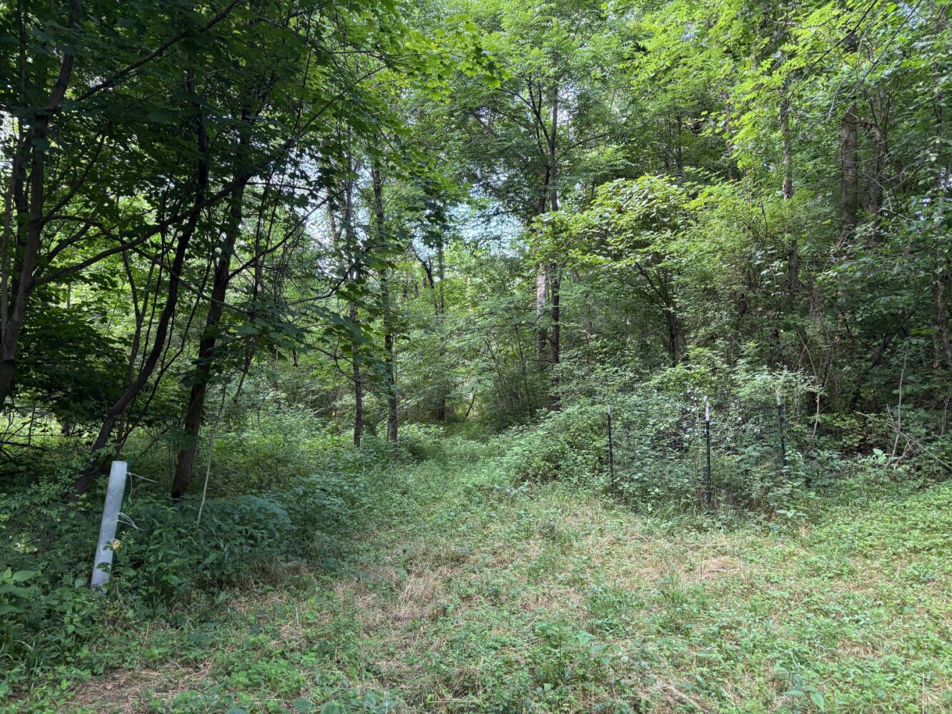 Land for Sale in Franklin County, IN (22 of 64)